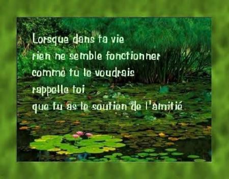 Lettre a mon amie